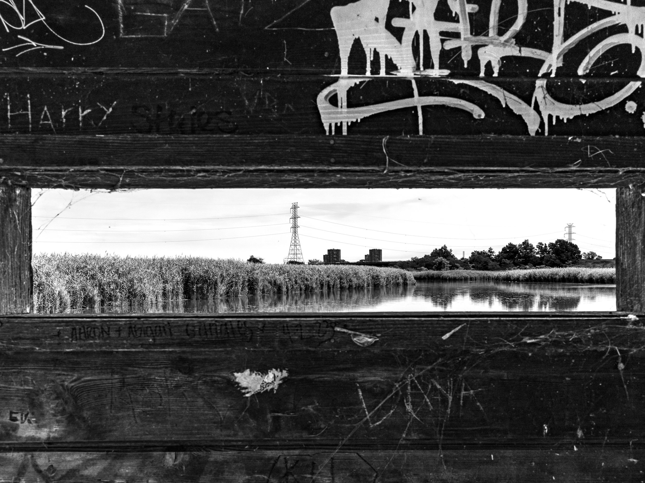 Richard W. DeKorte Park
Lyndhurst, New Jersey