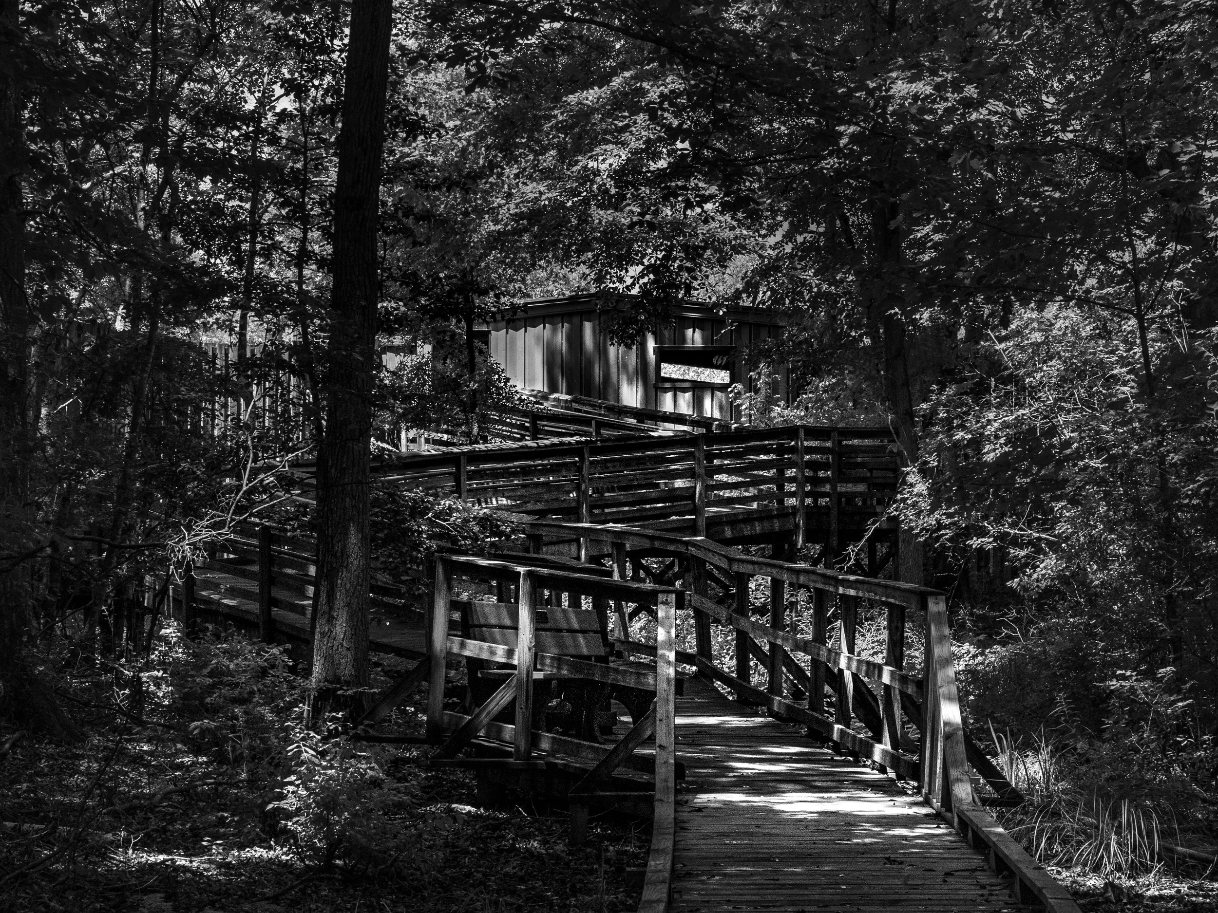 Great Swamp National Wildlife Refuge
Morris County, New Jersey