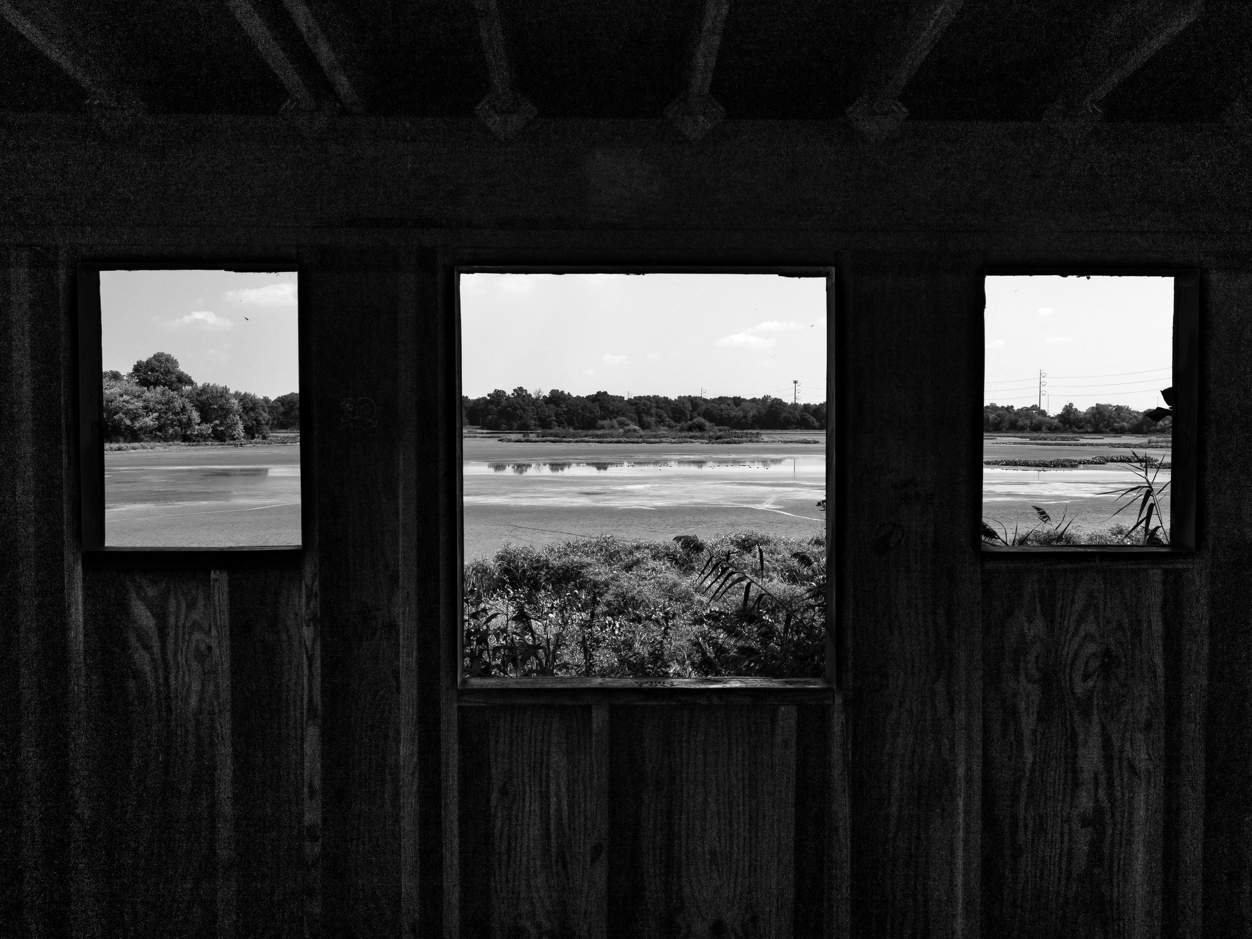 John Heinz National Wildlife Refuge at Tinicum
Philadelphia, Pennsylvania