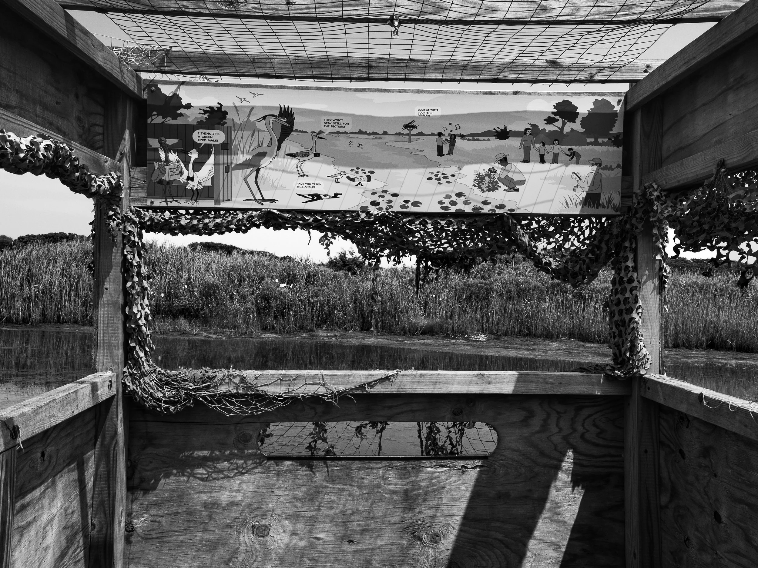 South Cape May Meadows
Cape May, New Jersey