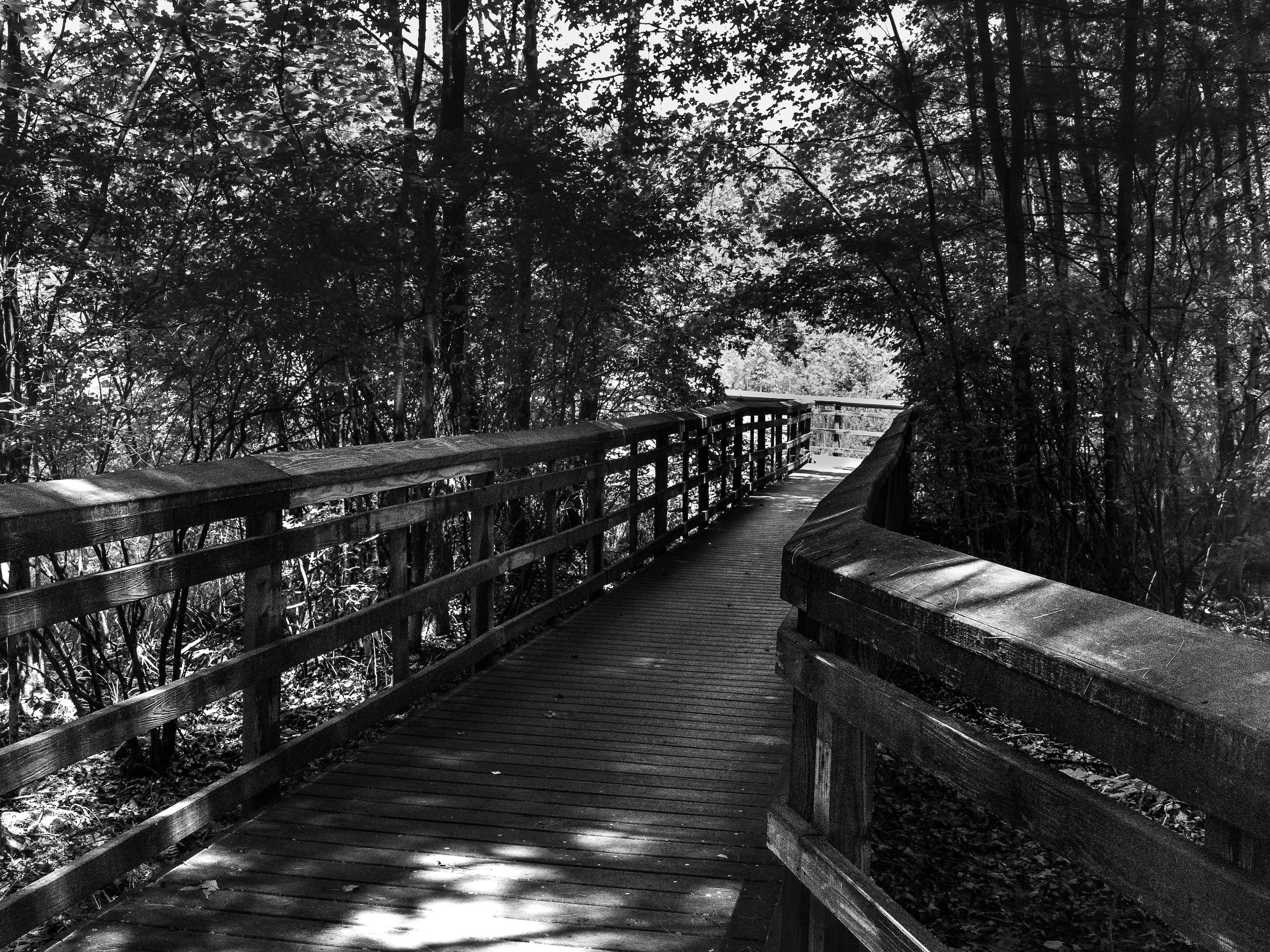 Great Swamp National Wildlife Refuge
Morris County, New Jersey