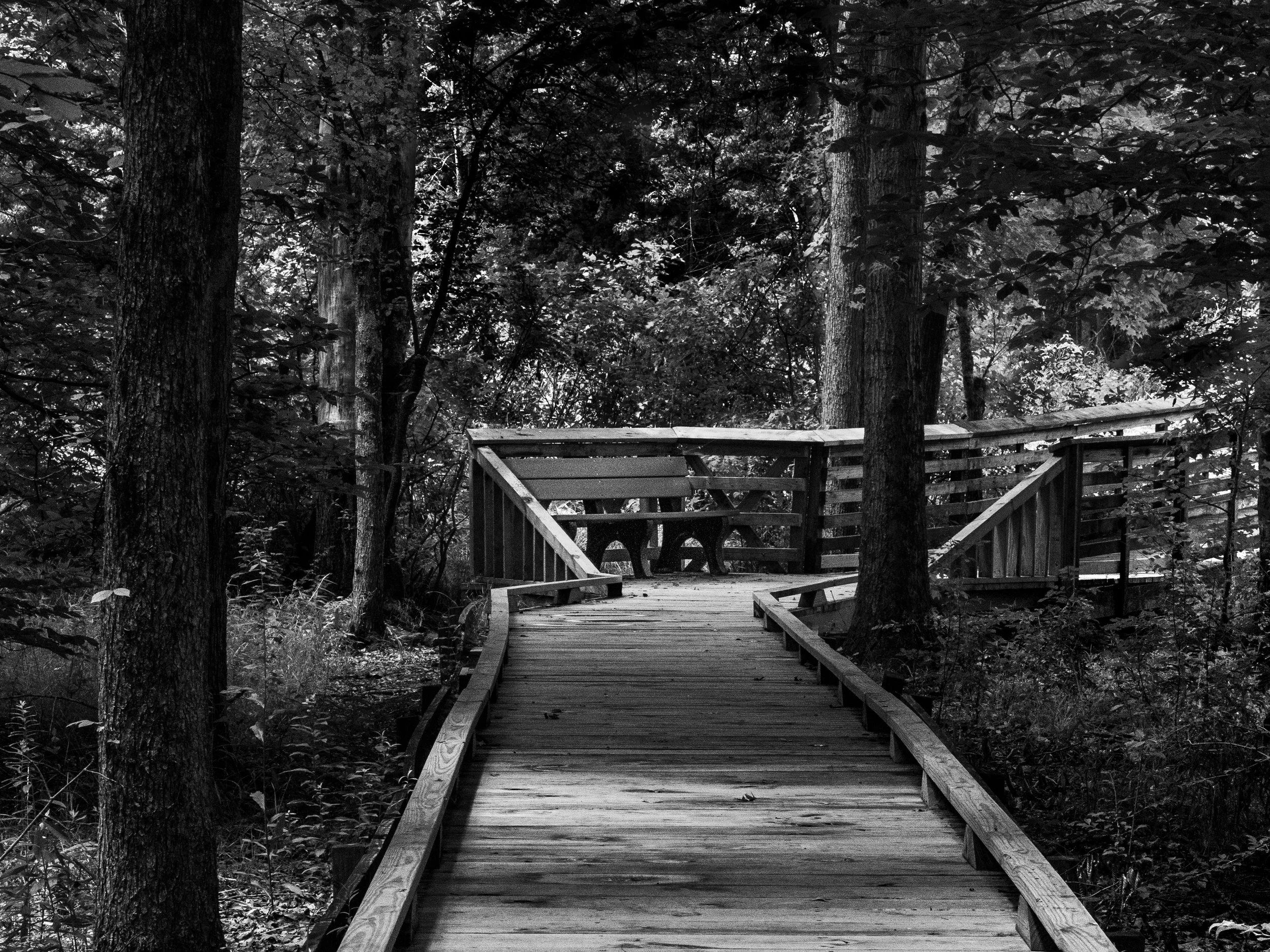 Great Swamp National Wildlife Refuge
Morris County, New Jersey