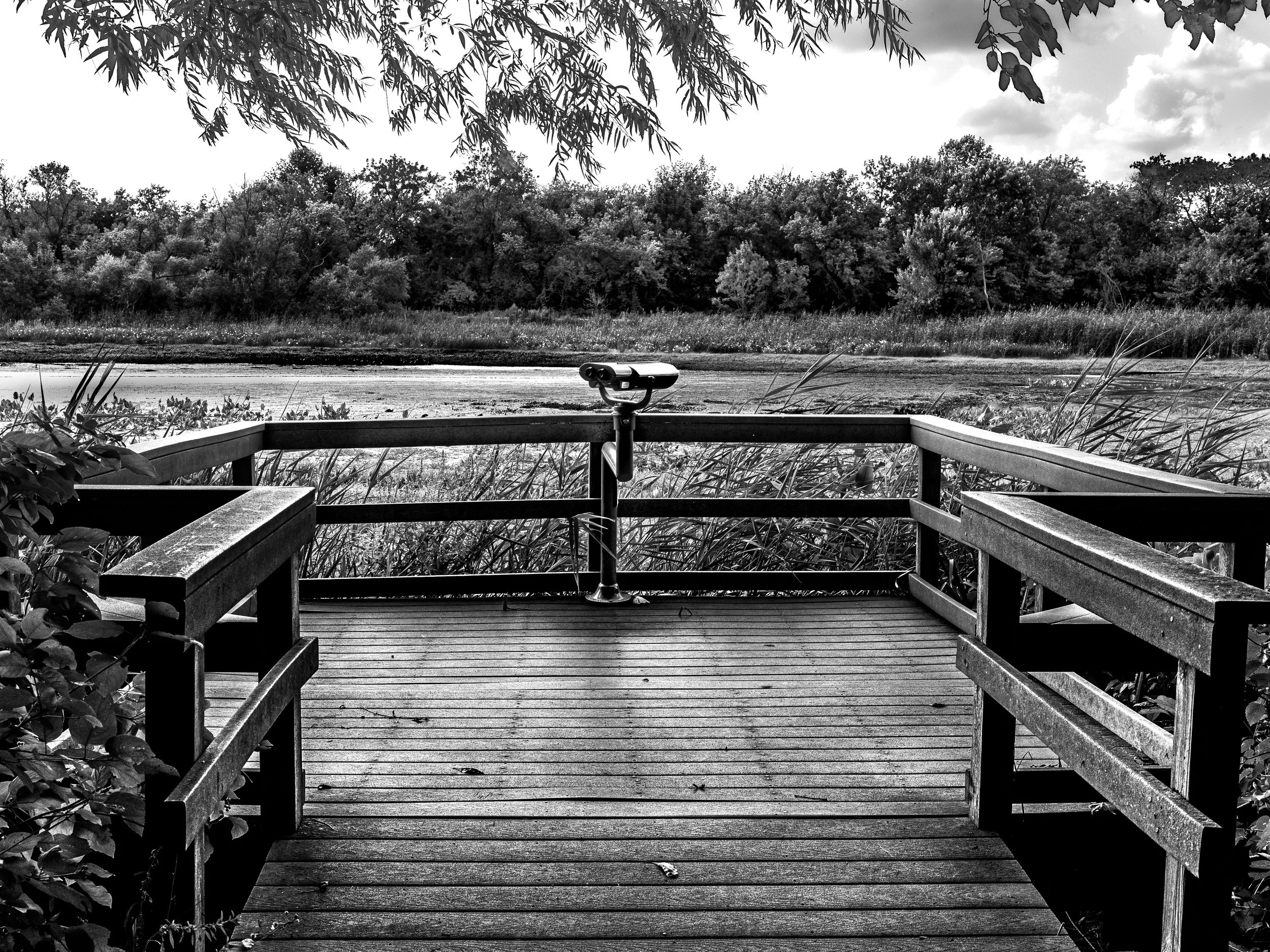 John Heinz National Wildlife Refuge at Tinicum
Philadelphia, Pennsylvania