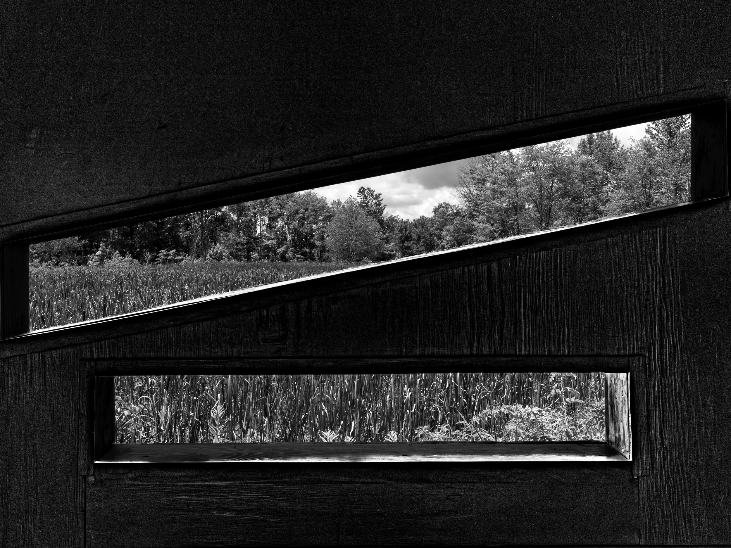 Great Swamp National Wildlife Refuge
Morris County, New Jersey