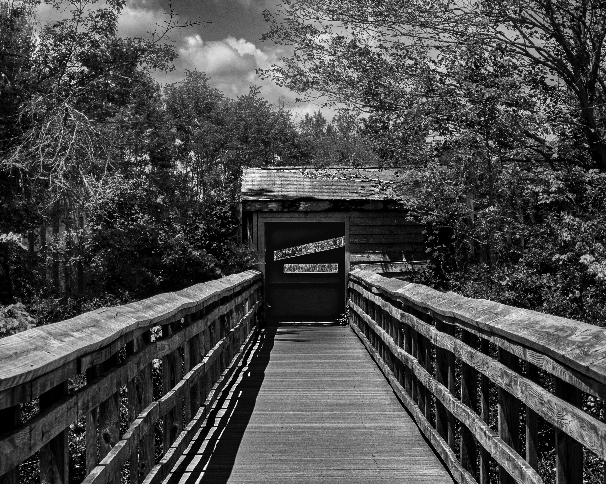 Great Swamp National Wildlife Refuge
Morris County, New Jersey