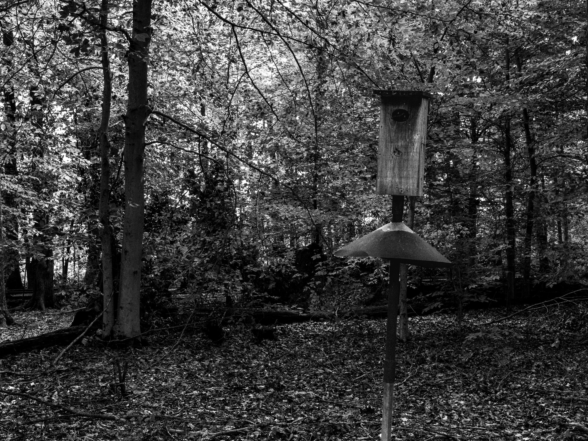 Great Swamp National Wildlife Refuge
Morris County, New Jersey