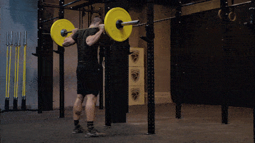 Back squat