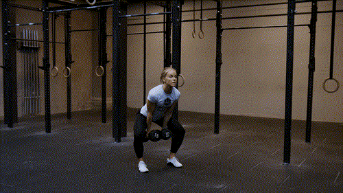 Double dumbbell hang squat clean
