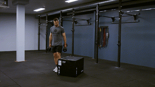 Lateral box step over