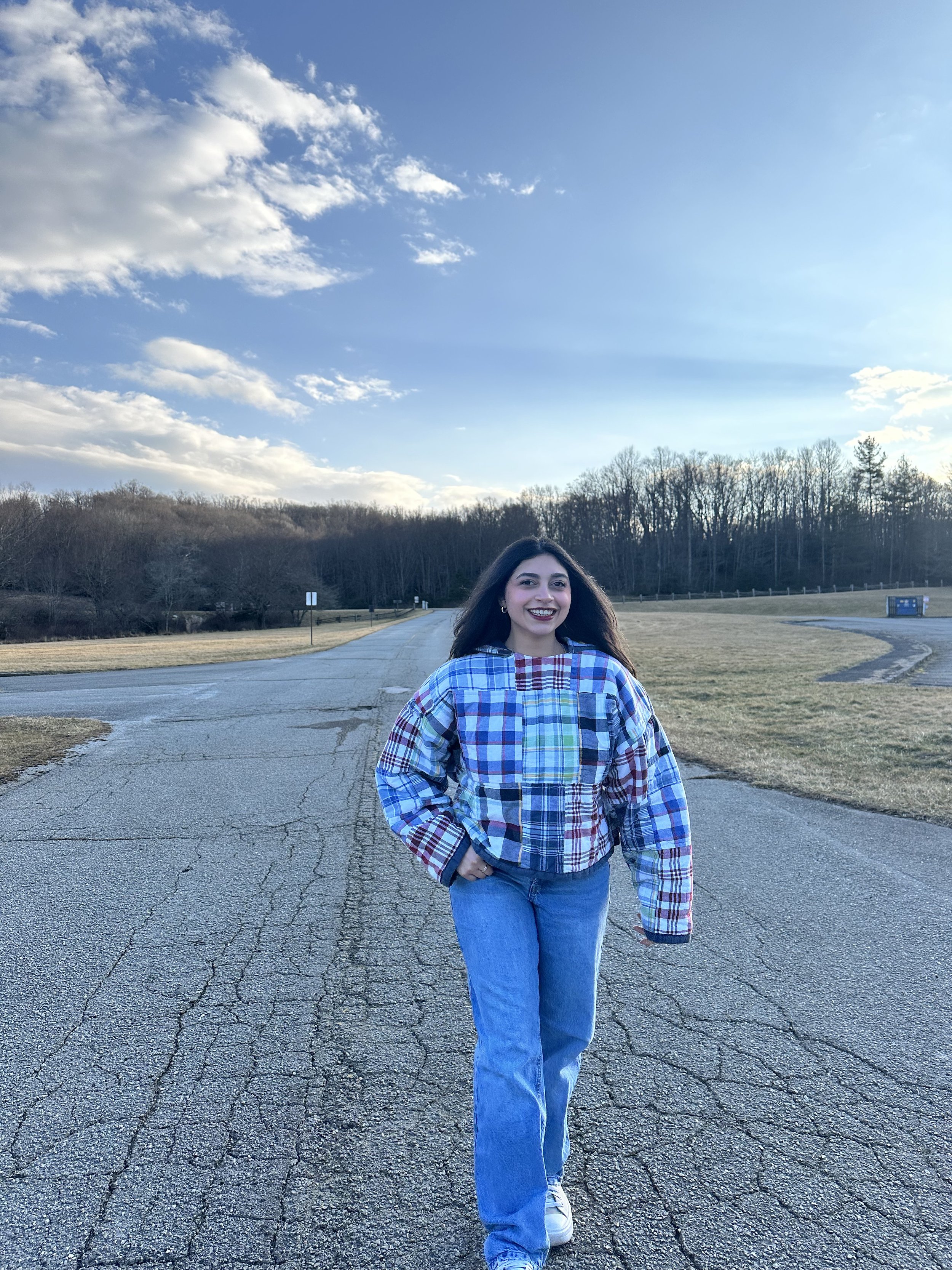 blue & red plaid