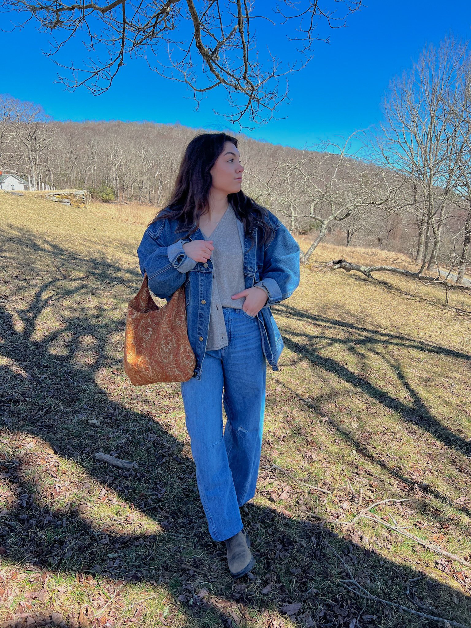 Alex Tote: Orange Paisley