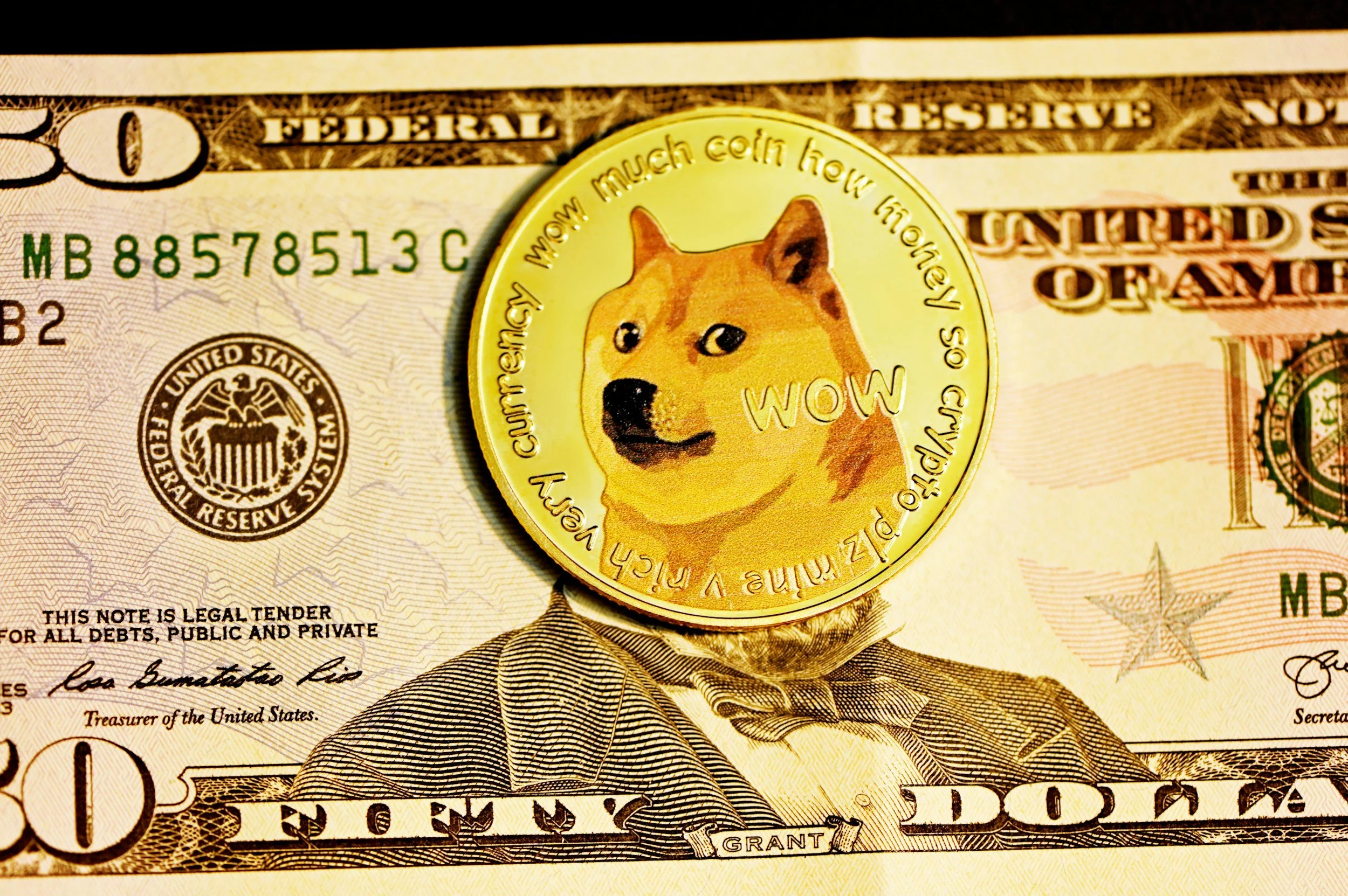 Doge meme on a fifty dollar bill
