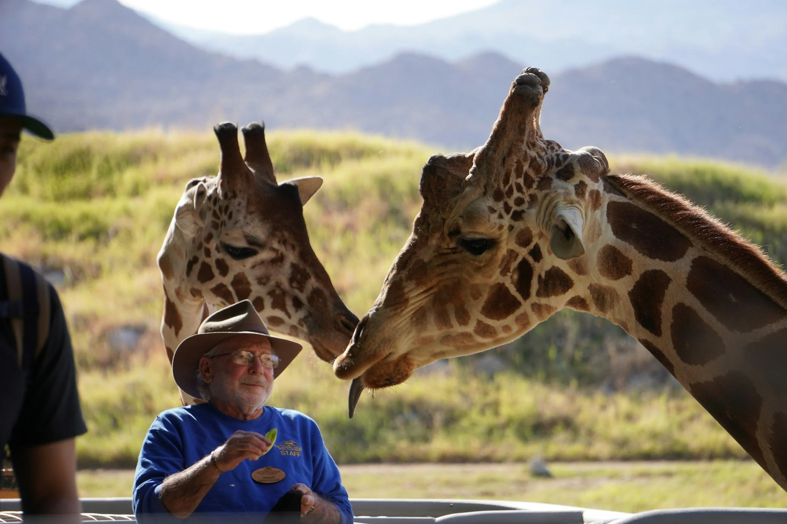 Animal Behavior Training for Shelter, Zoo &amp; Sanctuary Staff