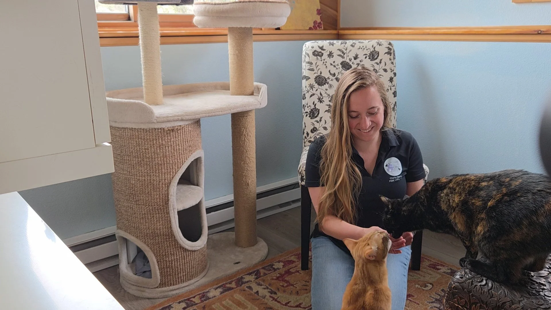 What Happens During a Pet Sitting Drop-in?