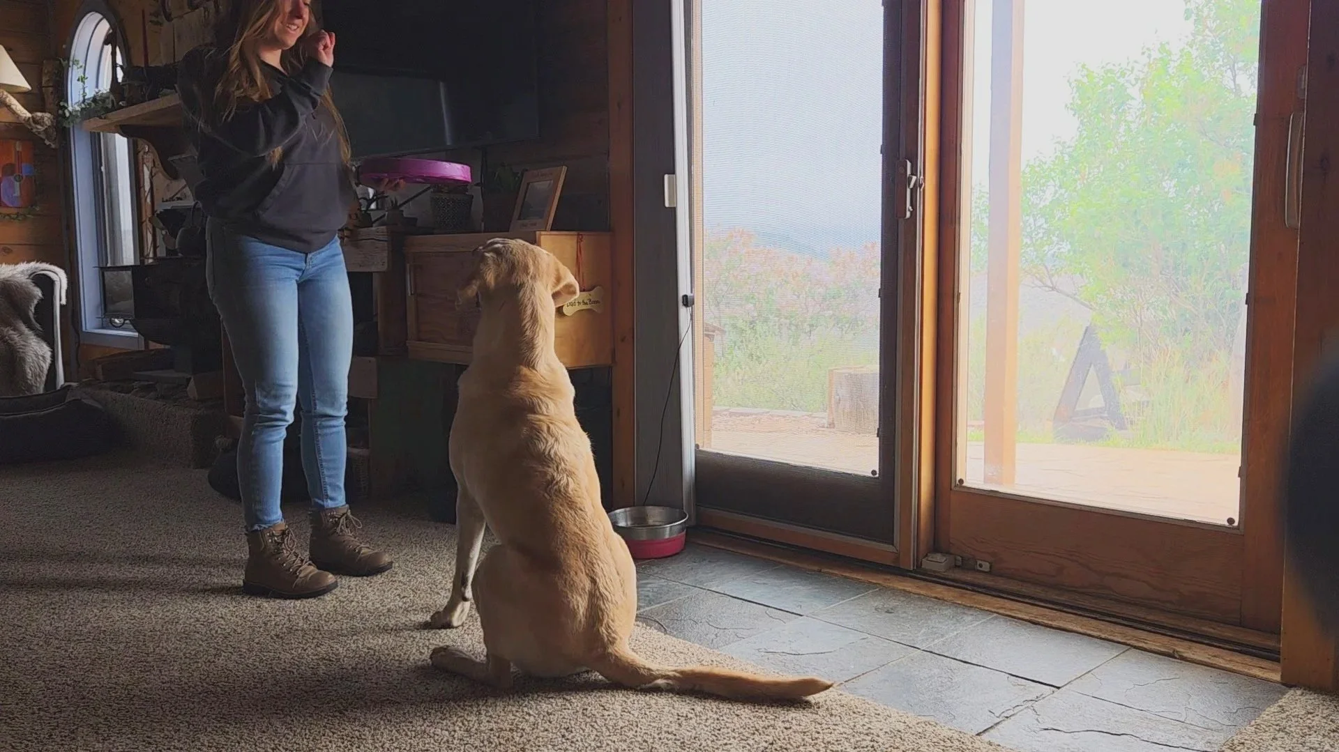 Charlie Payne of Jigsaw Animal Behavior and Welfare Consulting LLC asking a dog to sit for his food reward