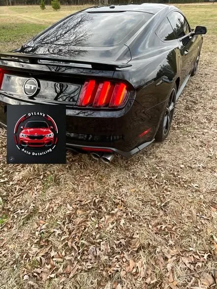 mustang rear.jpg