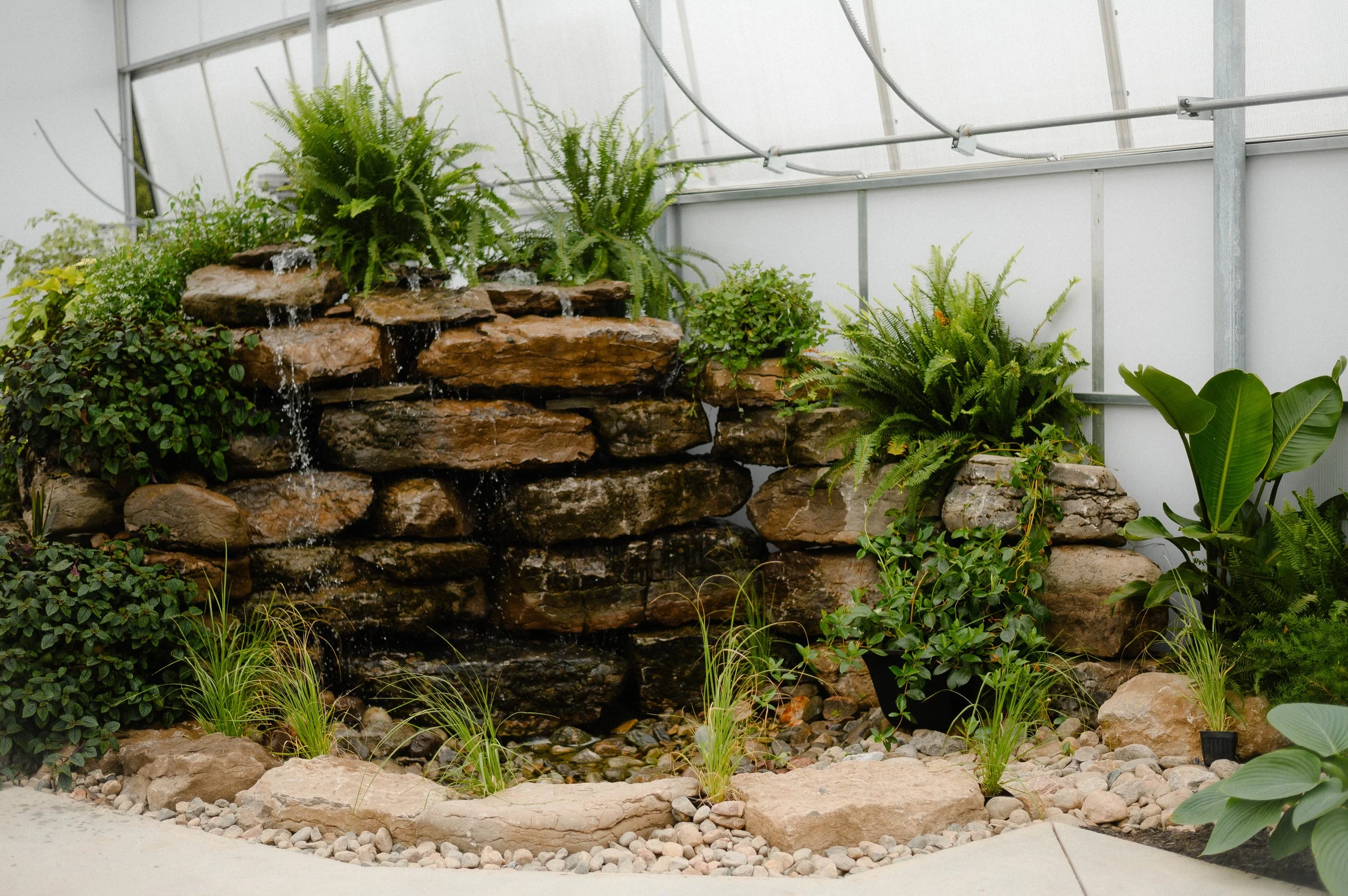 Indoor rock garden with small waterfall, ferns, leafy green plants, and pebbles, inside a greenhouse or conservatory.