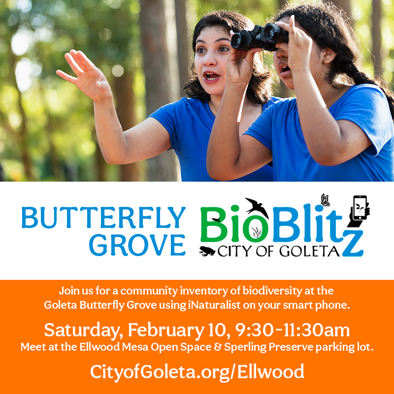 Bio Blitz at the Butterfly Grove