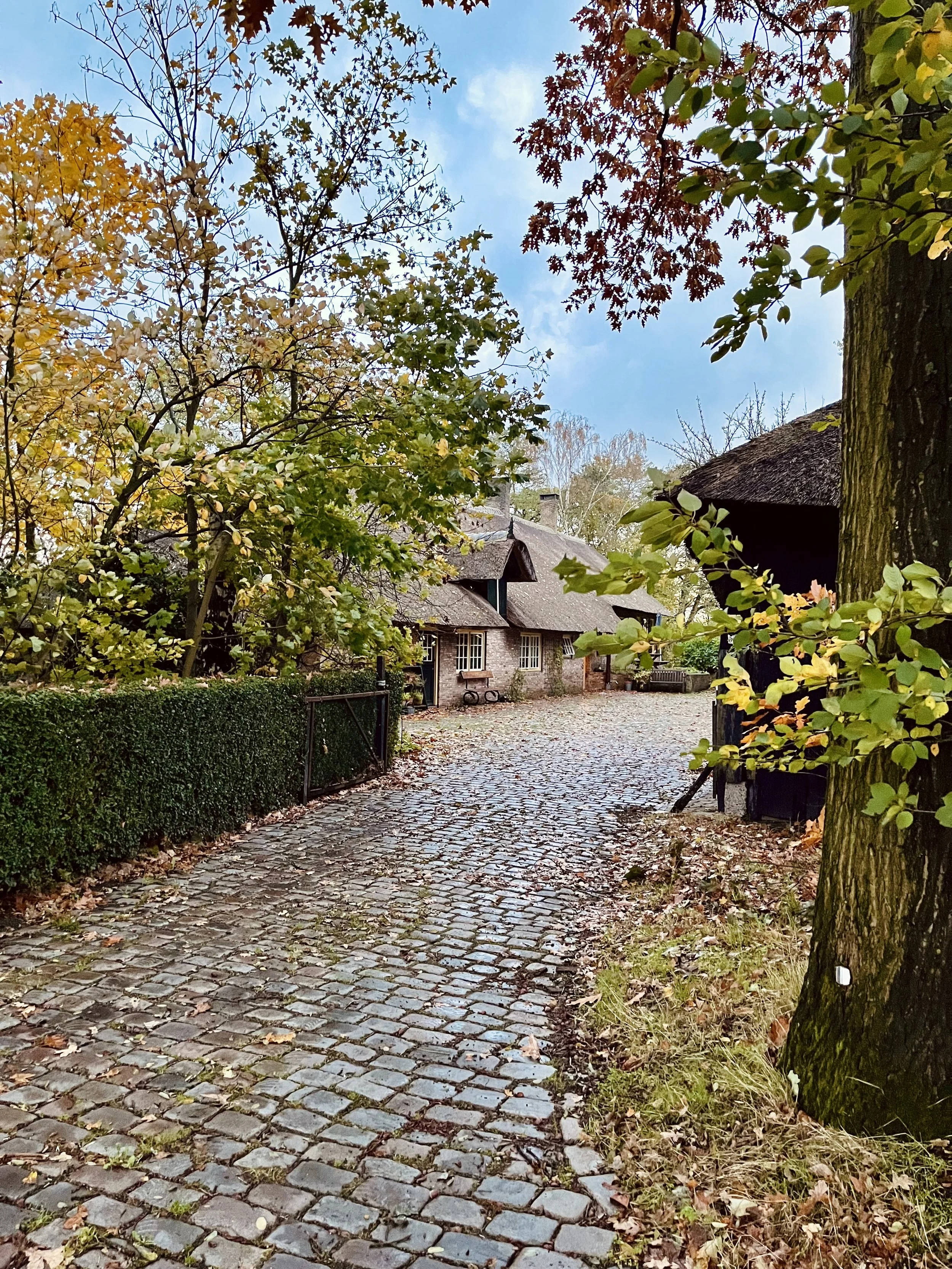 Verduurzamen