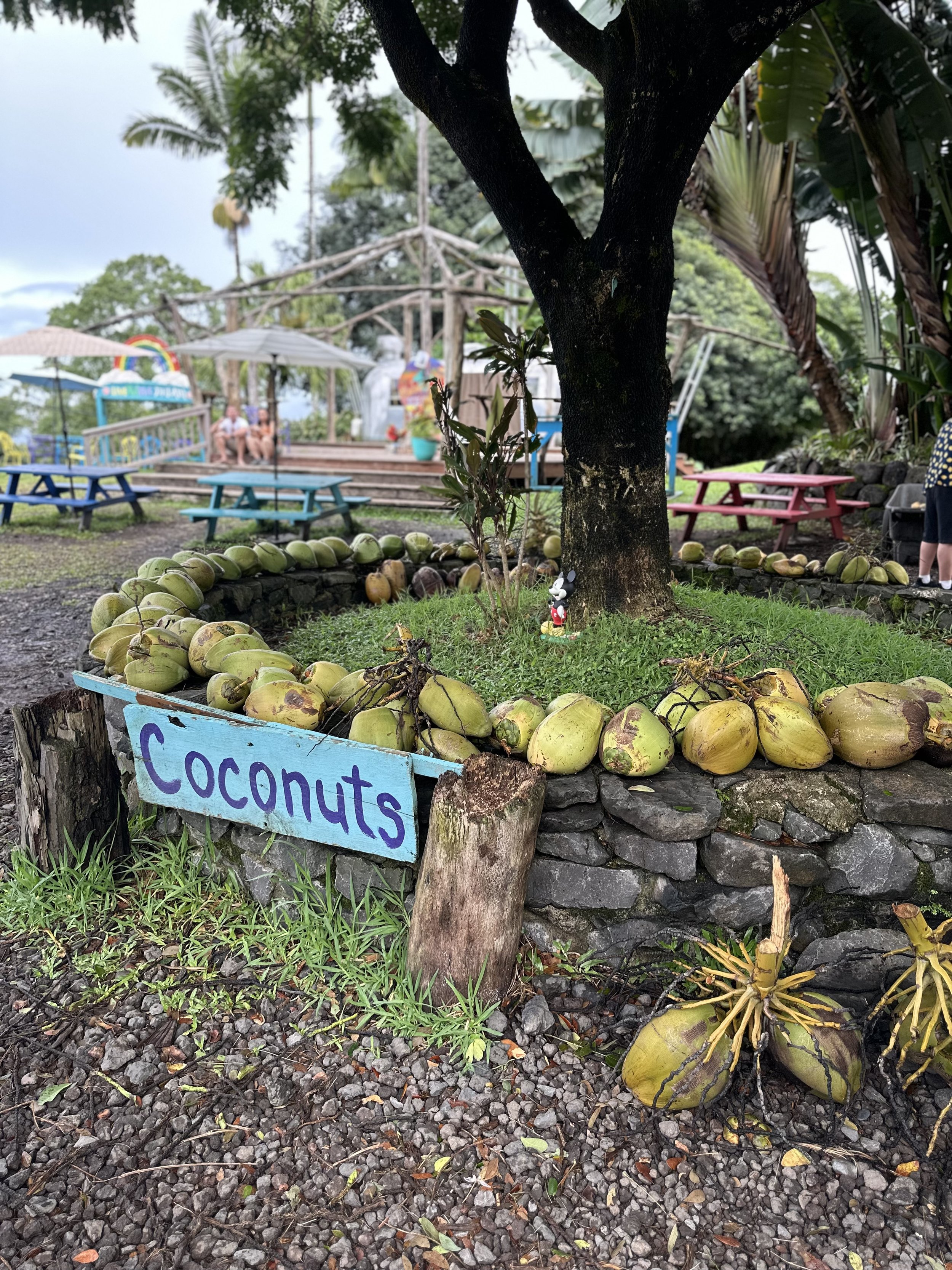 Halfway to Hana Mini Guide