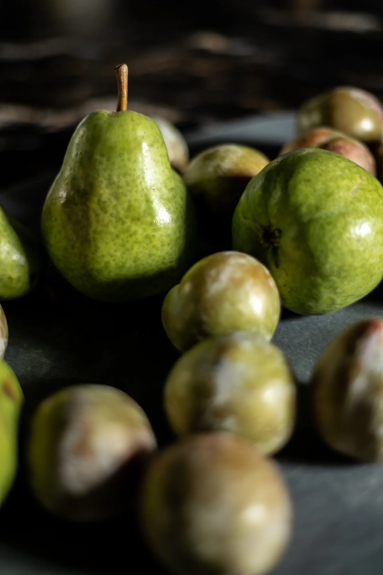 DebraDennis_8-6-25_(c) Meghan Balcom Photography_WEB-17.jpg