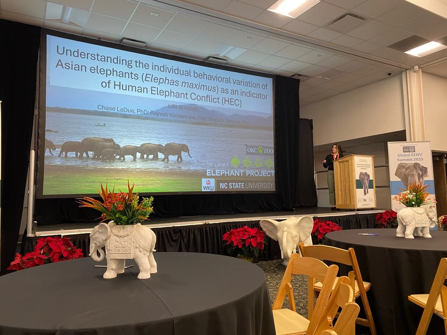 We&rsquo;re thrilled to celebrate two members of The Sri Lanka Elephant Project who recently presented their research at the 21st International Elephant Conservation and Research Symposium&mdash;one of the world&rsquo;s leading forums for elephant sc
