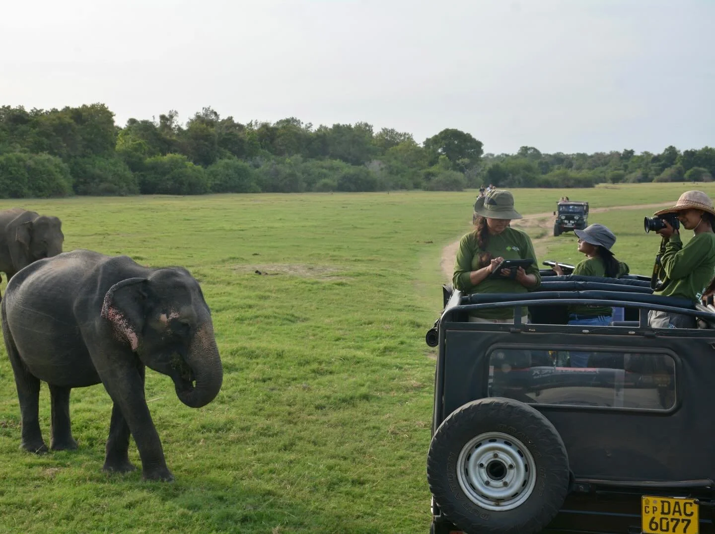 Happy International Day of Women and Girls in Science! 🔬✨

We are incredibly proud of the women on our field team, who are consistently advancing our understanding of elephants in Sri Lanka. Their work is driving real, meaningful progress in conserv