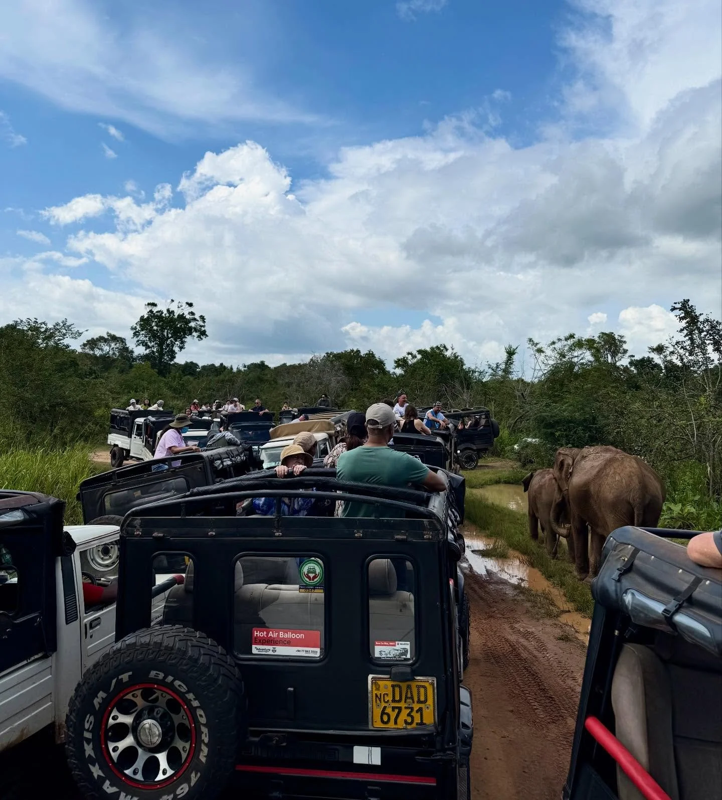 Our team has published a new study focused on wildlife tourism and its impact on elephant behavior in Sri Lanka. This study sheds light on how tourism can force wildlife to be plastic in their responses to humans. We observed heightened stress levels