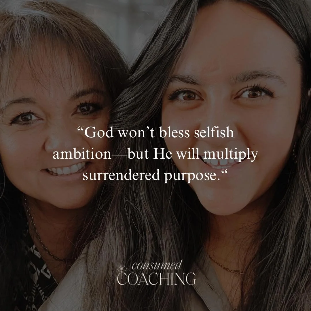 Selfish Ambition Will Never Be Blessed

&ldquo;For where envy and self-seeking exist, confusion and every evil thing are there.&rdquo;
&mdash; James 3:16

Let&rsquo;s talk truth for a minute, Kingdom Entrepreneurs and Coaches&mdash;
&ldquo;why&rdquo;