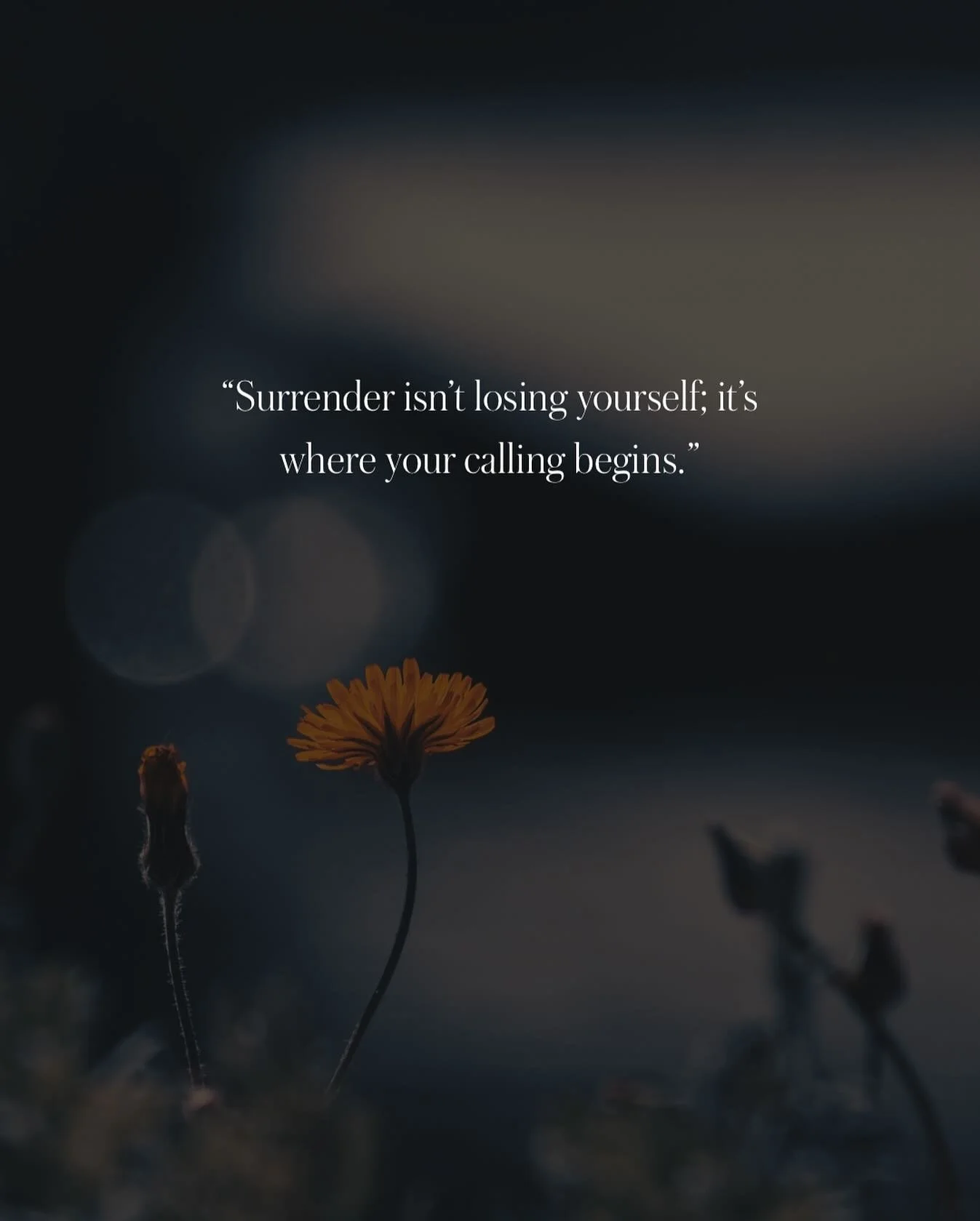 You know, this reminds me of when my own kids absolutely hated taking medicine. They&rsquo;d be running a fever, feeling awful, but the moment I came with the remedy, they&rsquo;d wiggle, cry, and run away. As a mom, it broke my heart. I&rsquo;d tear
