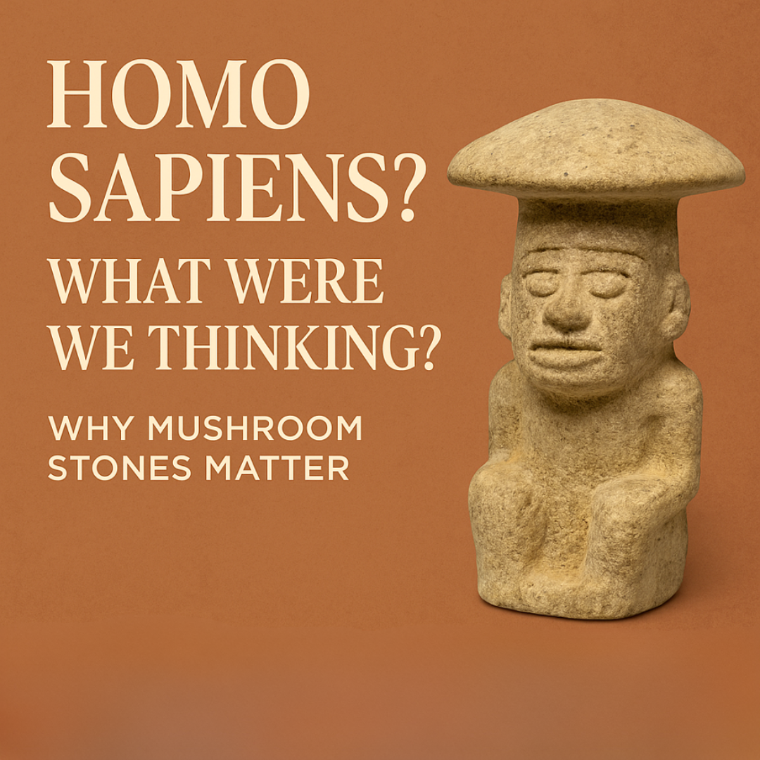 Homo Sapiens? What Were We Thinking? Why Mushroom Stones Matter