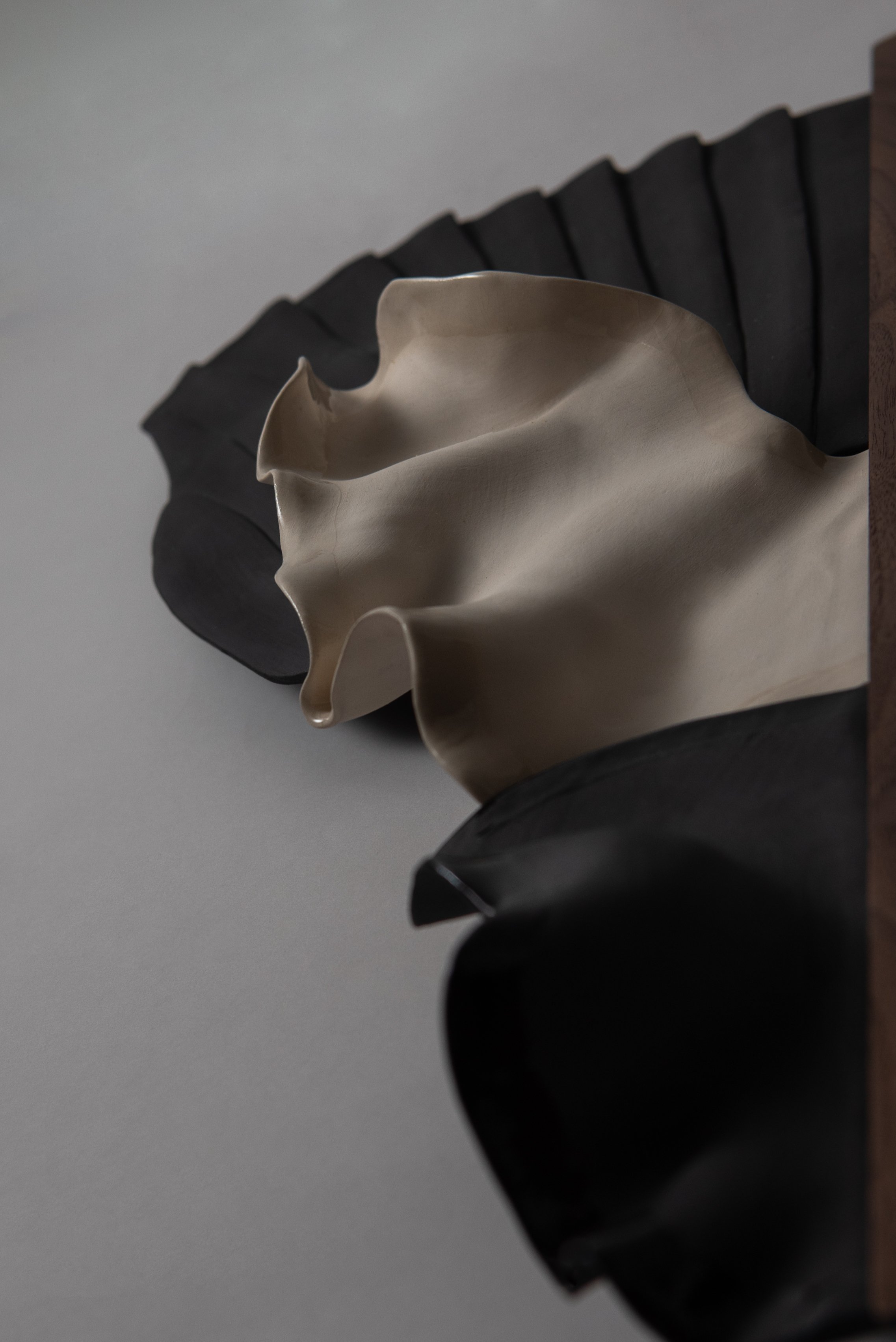 ALX_4184-Edit_high_res.jpg
