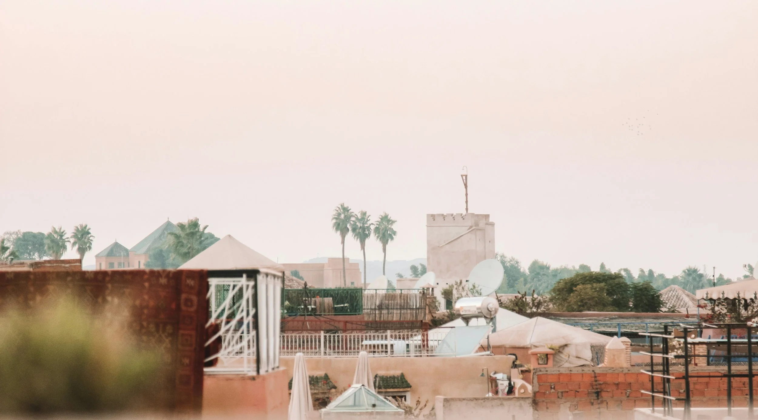 A cityscape with rooftops, palm trees, satellite dishes, and a tower with a flag on top against a hazy sky.