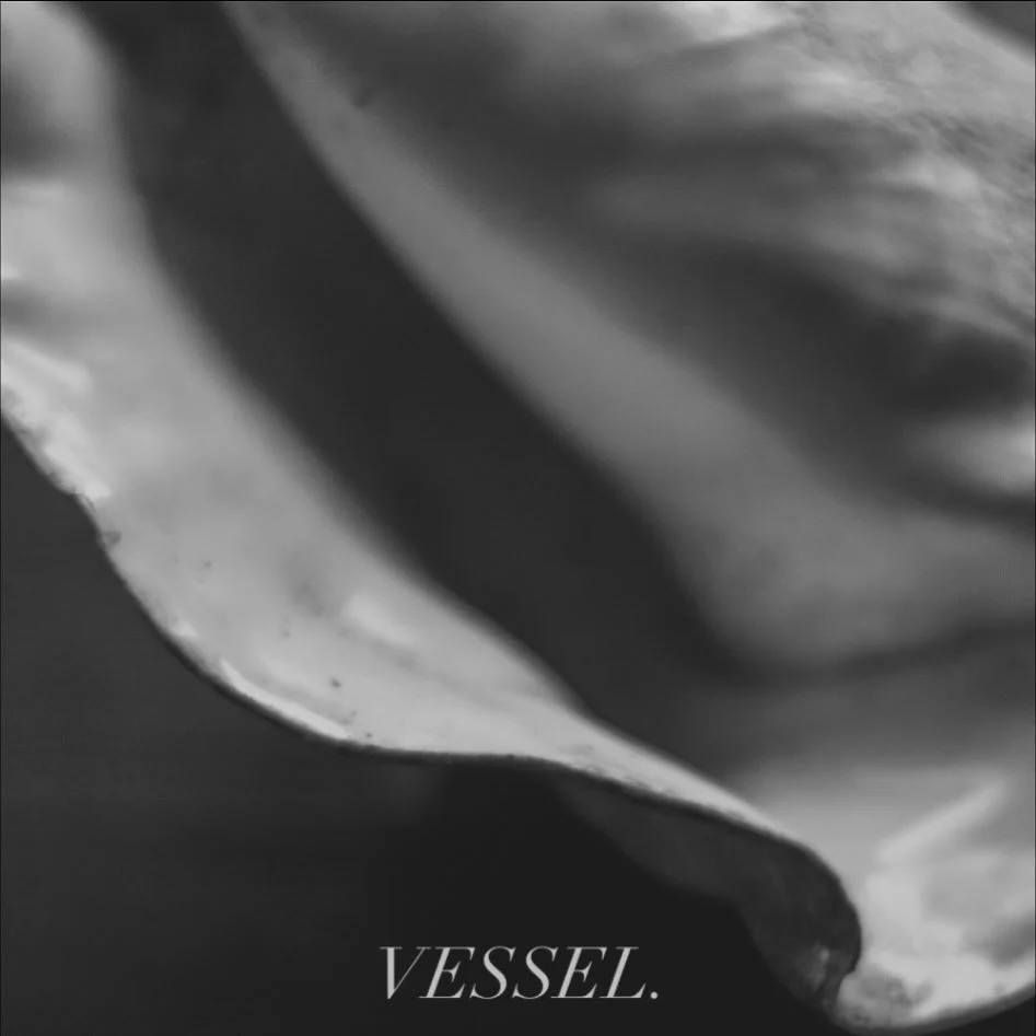 A shell. Ready to be filled.