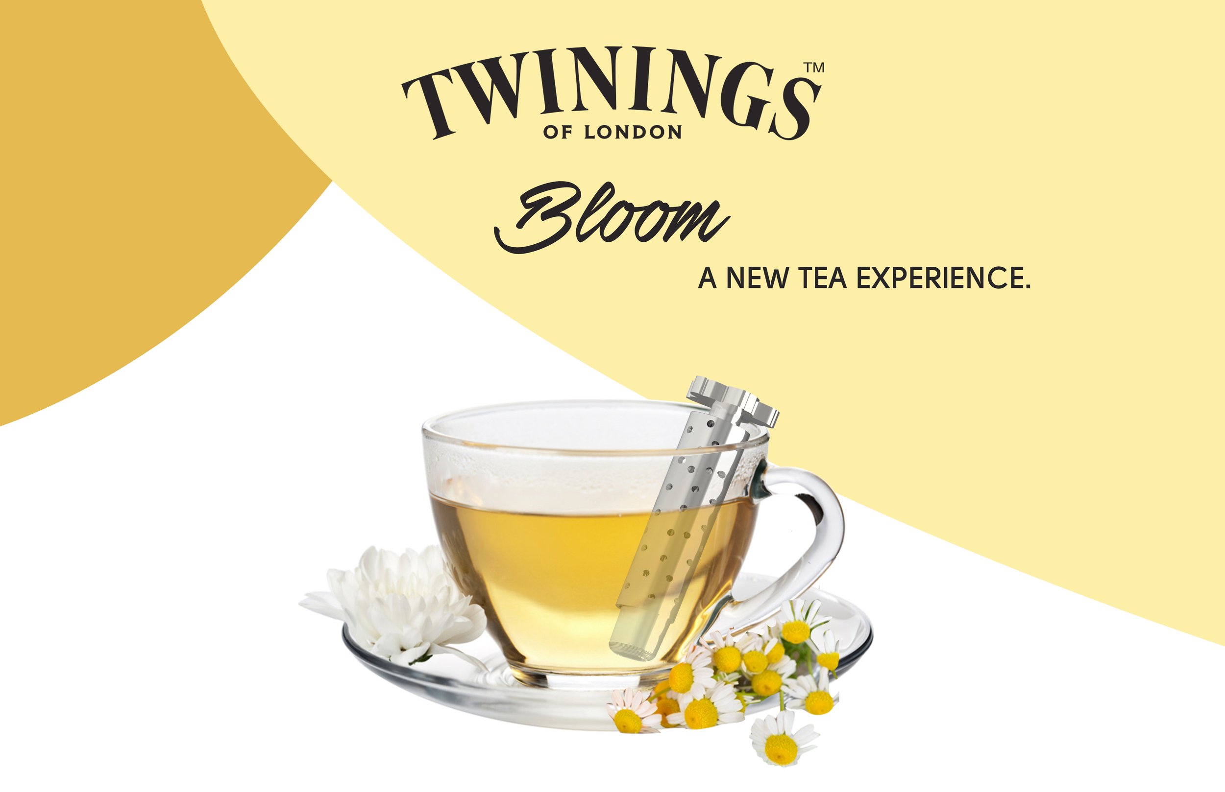 TEA CHAMOMILLE.jpg