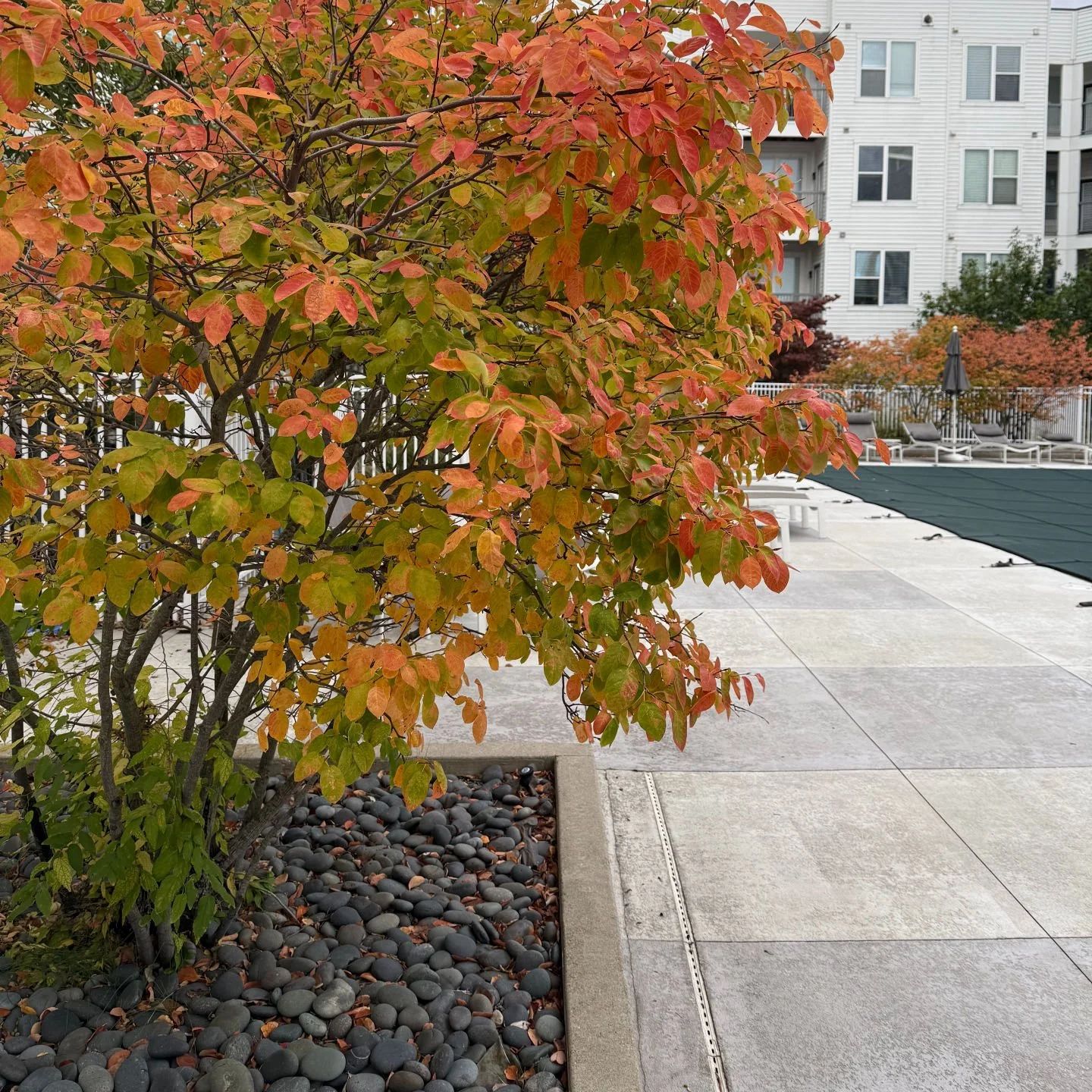 Fall is here, and our clubhouse is the perfect place to slow down and settle in. Whether you're planning a small gathering or just need a quiet spot to unwind, we’ve got you covered.
☕ A full coffee bar
🎬 Cozy comfort movies
🎲 Oversized nost