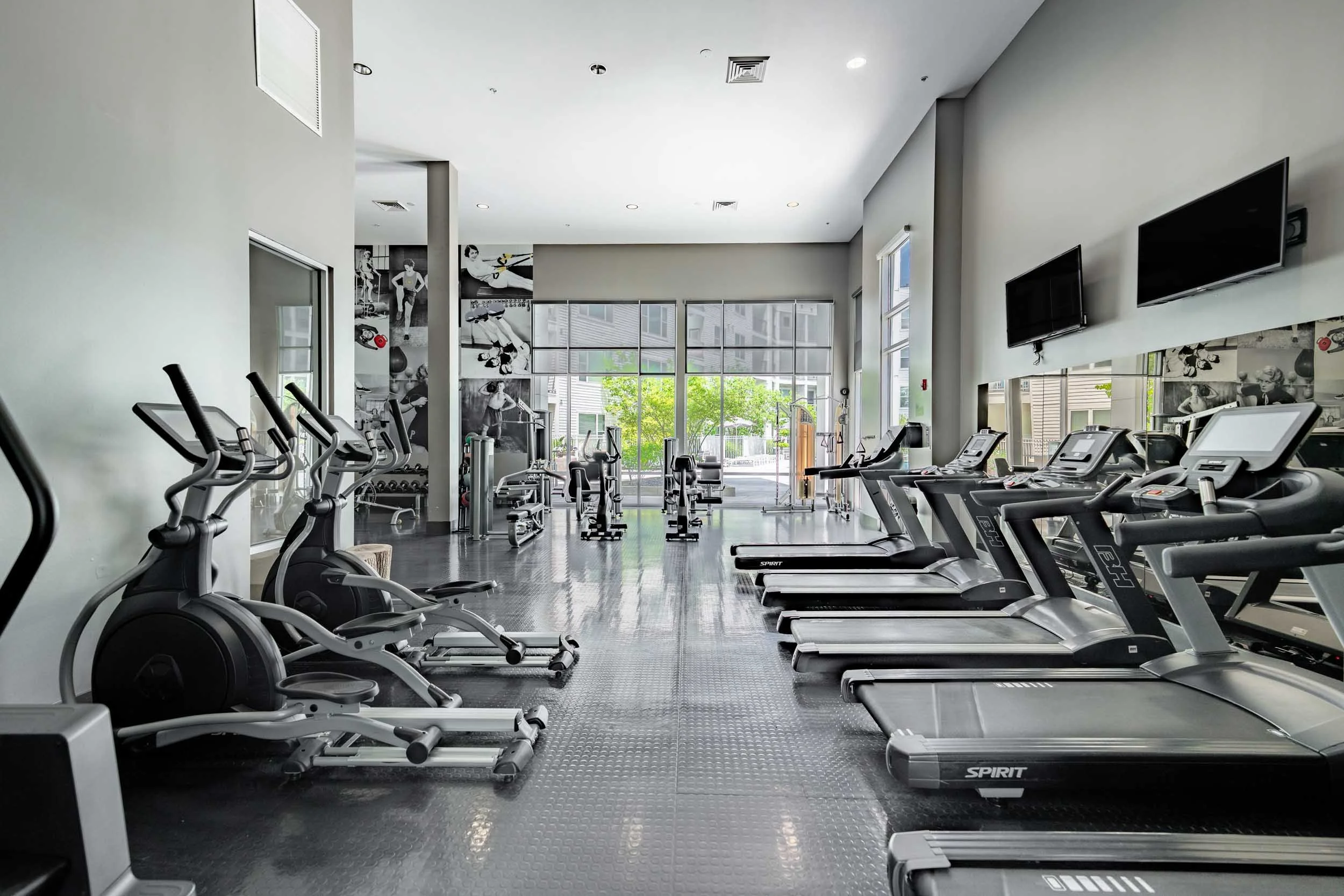 A modern gym with cardio equipment such as treadmills and ellipticals, large windows providing natural light, and fitness-themed artwork on the walls.