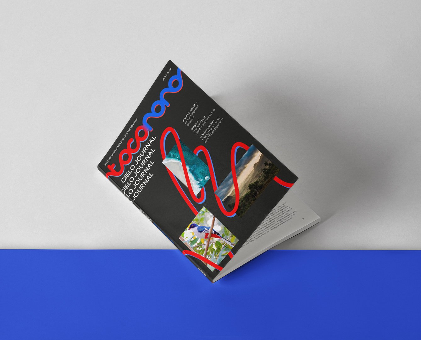 Magazine Mock-up Portfolio Final.jpg