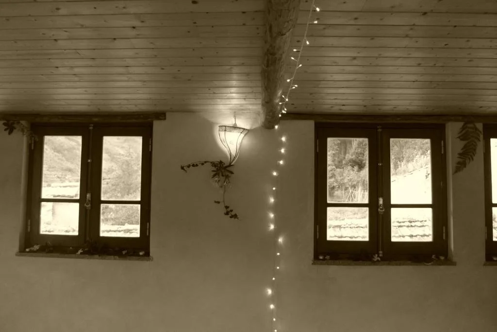 WhatsApp Image 2023-11-23 at 15.26.40 (3).jpeg