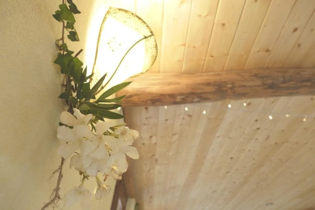 WhatsApp Image 2023-11-23 at 15.26.40.jpeg