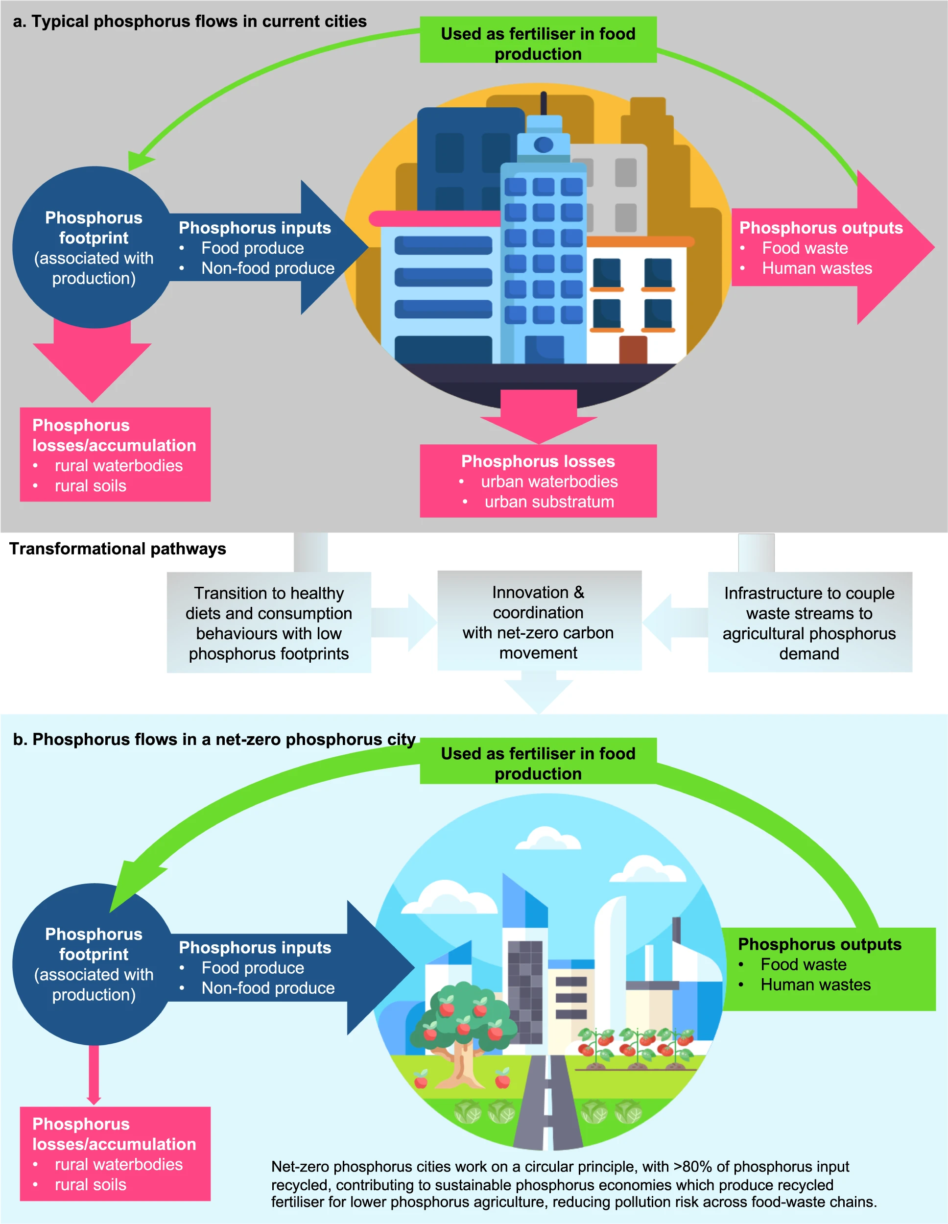 Publication - ‘Towards net-zero phosphorus cities’
