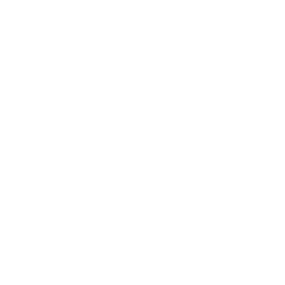 bosch.png