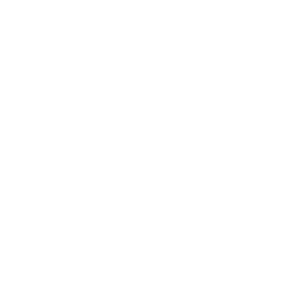 maxus.png