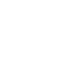 schindler.png