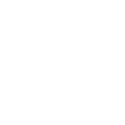 allianz.png