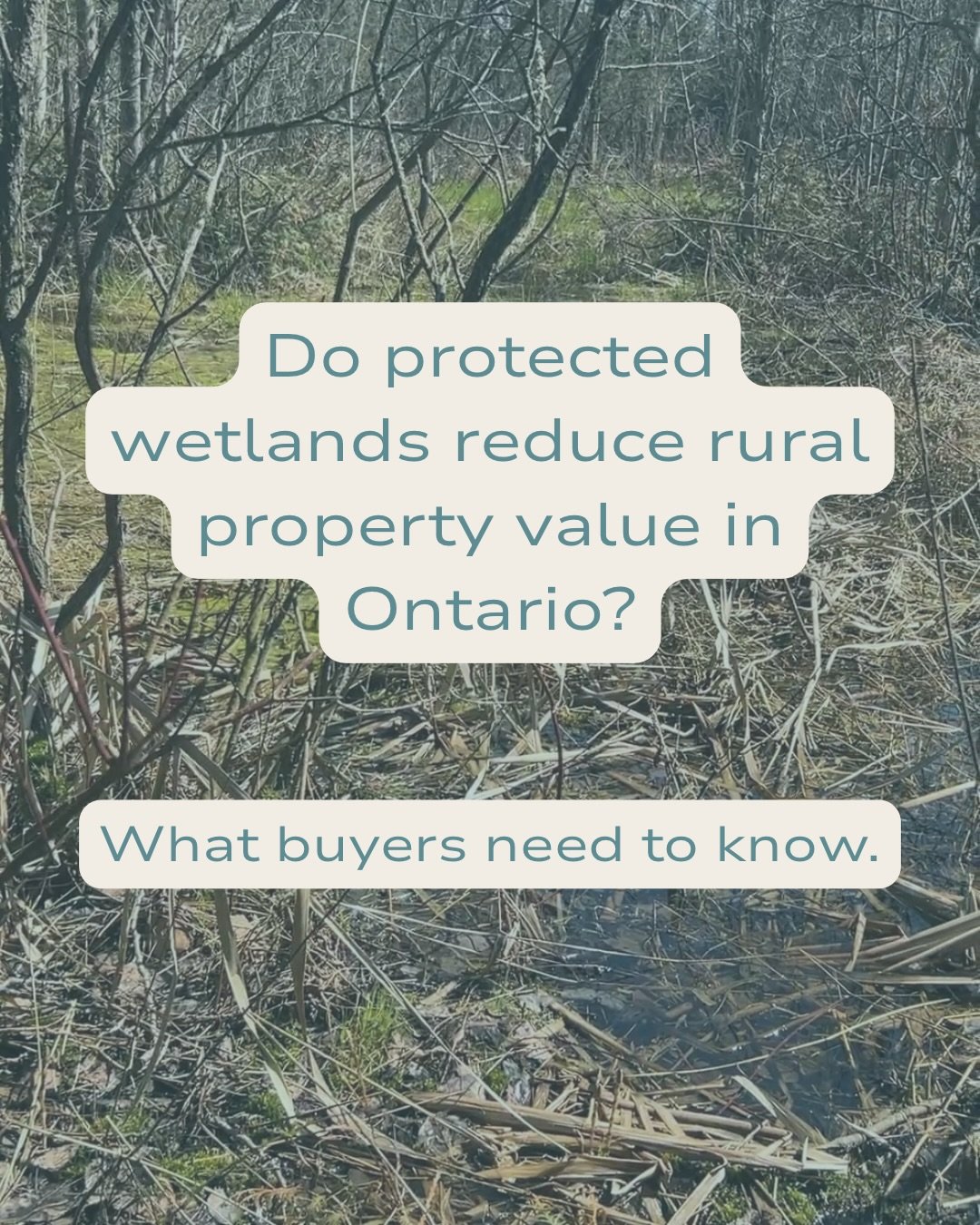 Do protected wetlands reduce rural property value in Ontario?

It&rsquo;s one of the most common questions buyers ask when looking at rural homes, hobby farms, and farm properties and it&rsquo;s often misunderstood.

According to conservation authori