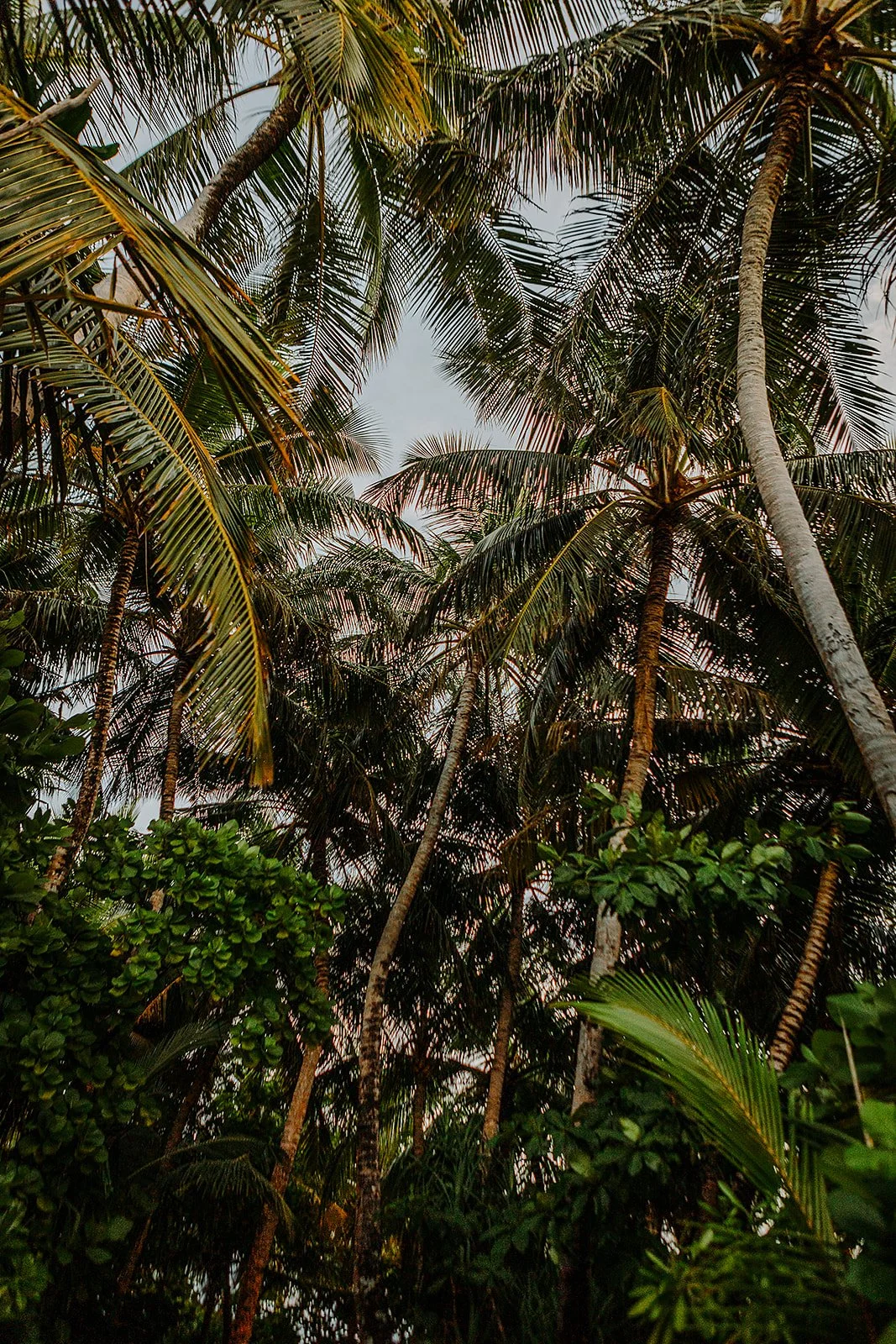 Conrad Maldives Rangali Island - Casey Bell Photography (33).jpg