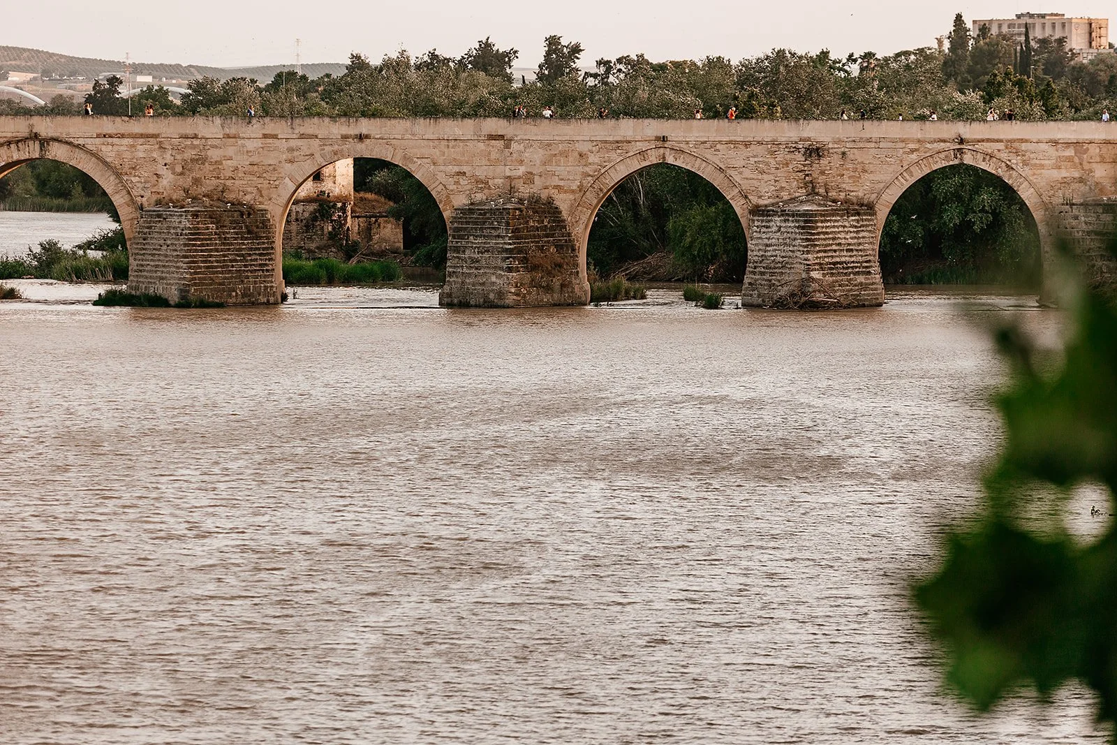 Cordoba - Casey Bell Photography (13).jpg