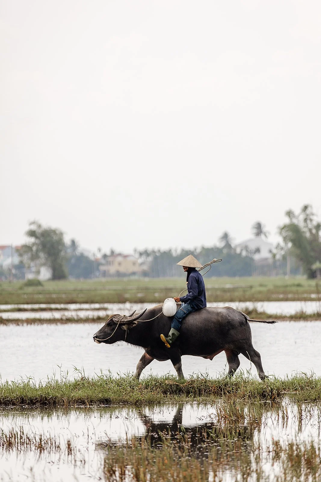 Hoi An - Casey Bell Photographer (99).jpg