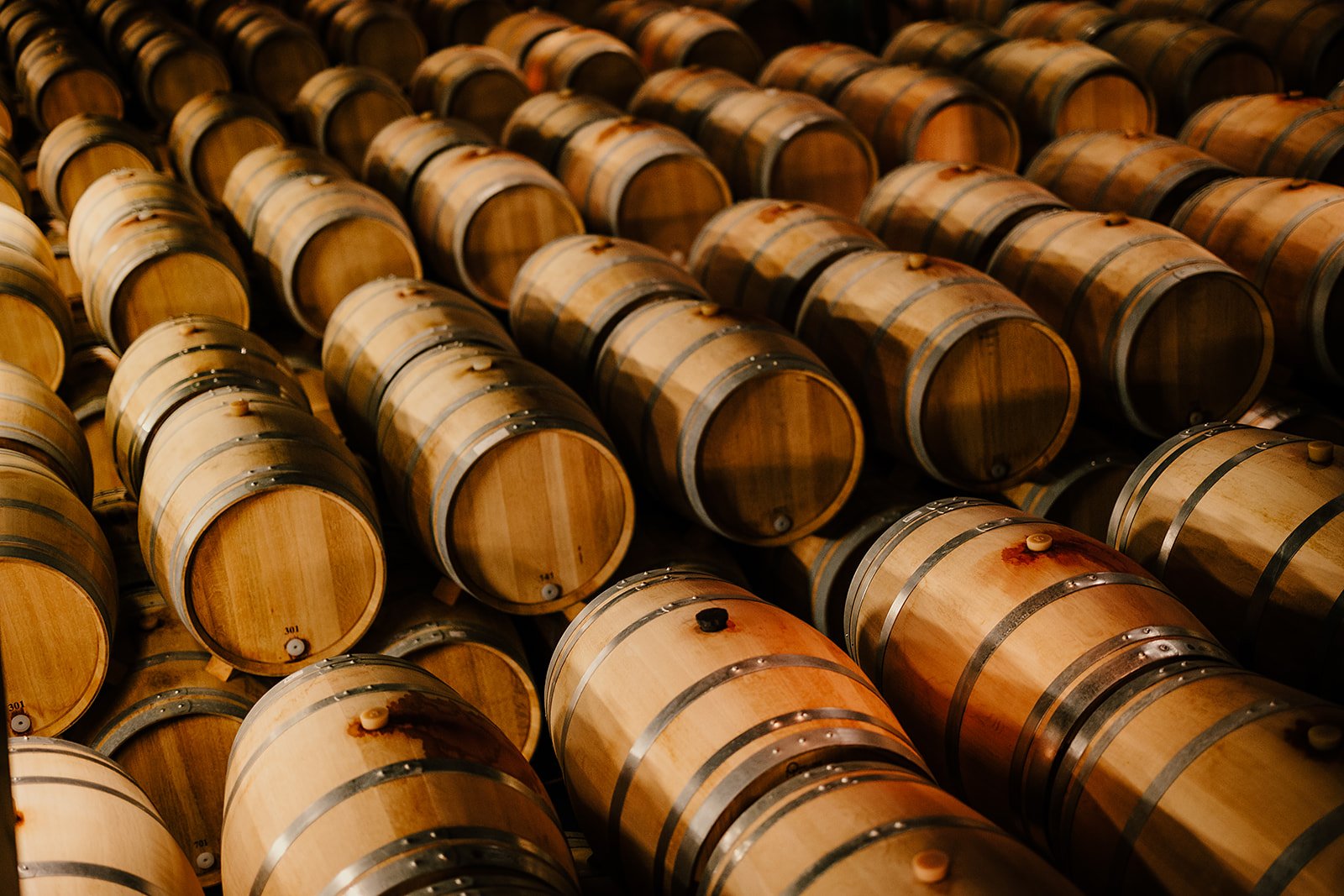 Chateau Cos d'Estourne  - Casey Bell Photography (1).jpg